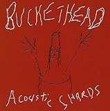 ACOUSTIC SHARDS                                    image