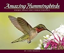 Amazing Hummingbirds: Unique Images and Characteristics (Wildlife Appreciation)