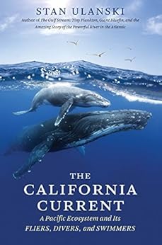 The California Current A Pacific Ecosystem And Its Fliers