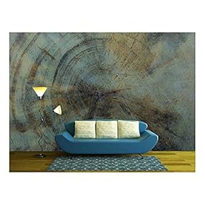 Rings Year of Wood Texture - Removable Wall Mural | Self-Adhesive Large Wallpaper - 66x96 inches
