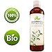 Shampoo For Oily Hair - Clarifying Anti-Dandruff Shampoo For Men & Women - Greasy Hair & Itchy Scalp Treatment - Balancing Lemon Oil Control Formula - Jojoba Keratin & Argan Oil For Silky Soft Hair