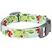 Blueberry Pet 11 Patterns The Cherry Garden Turquoise Designer Dog Collar, Large, Neck 18
