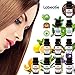 Labeatie Aromatherapy Diffuser Essential Oils Set of 10 Therapeutic Grade Natural and Pure Essential Oil Bottles 10ml For Diffusers and Humidifier with Lavender Lemon Tea Tree Eucalyptus and More