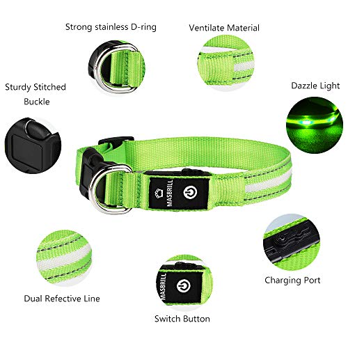MASBRILL LED Dog CollarRechargeable Waterproof Glow Light Up Dog
