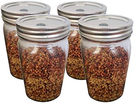 Sterilized Mushroom Spawn (WBS) Jars Ready for Spore Inoculation - 4 Count