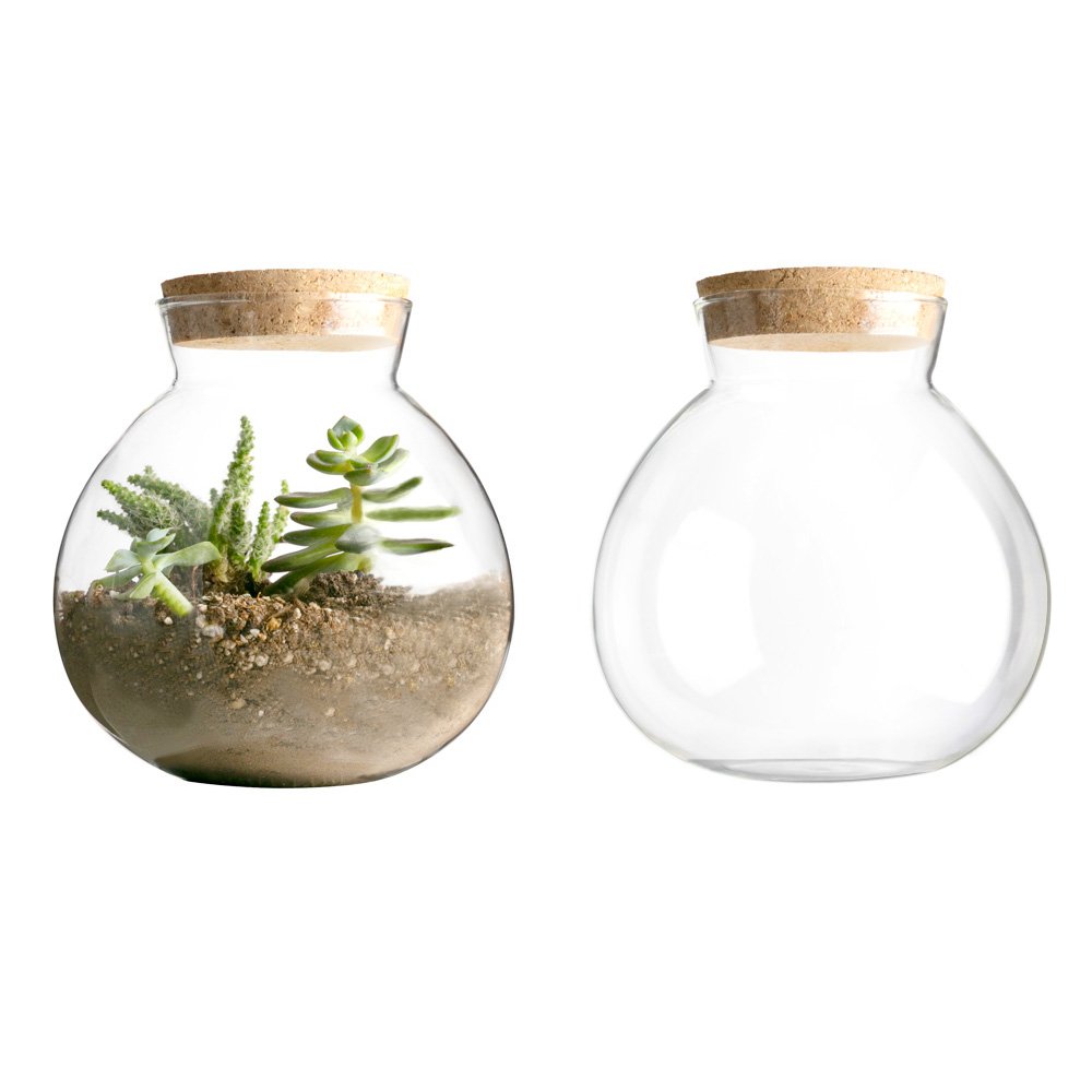 Mkono 2 Pack Succulent Plant Terrarium Bowl Glass Planter with Cork Lid