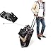 Pack of 2 Add-A-Bag Luggage Strap, Baggage Suitcase Adjustable Belt Straps Travel Accessories Attachment - Connect Your Three Luggages Together, Black