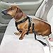 JBtek® Universal Dog Leash Auto Car Automobile Seatbelt Adapter Extender Adjustable Safety Seat Belt Restraint for Travel (Black)