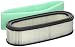 Raisman Air Filter Replaces Briggs & Stratton 394019S/394019/398825 Includes Pre-Filter 272490S/271271