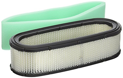 Raisman Air Filter Replaces Briggs & Stratton 394019S/394019/398825 Includes Pre-Filter 272490S/271271