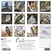 Owls 2020 Wall Calendar