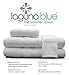 Laguna Blue Antibacterial Microfiber Bath Towels (2-Pack) White 30