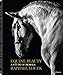 Equine Beauty: A Study of Horses (English, German, Spanish, French and Portuguese Edition)