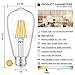 CRLight 6W Dimmable Edison Style Vintage LED Filament Light Bulb 3000K Soft White 60W Incandescent Replacement, E26 Medium Base Lamp ST64 Antique Shape, Clear Glass Cover 6-Pack