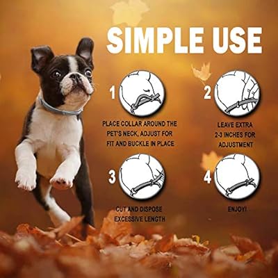 tuzik flea collar for dogs