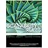 Scalability Rules: 50 Principles for Scaling Web Sites