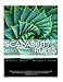 Scalability Rules: 50 Principles for Scaling Web Sites