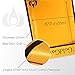 Fireproof Document Bags Waterproof, Fire Safe Document Holder – 15”x 11” Fireproof & Waterproof Safe Bag, Silicone Coated Pouch for Your A4 Documents, Files, Money & Jewelry, Gold