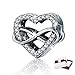 BAMOER 925 Sterling Silver Eternity Love Heart Pave CZ Charms Beads fit Women Bracelets Jewelry