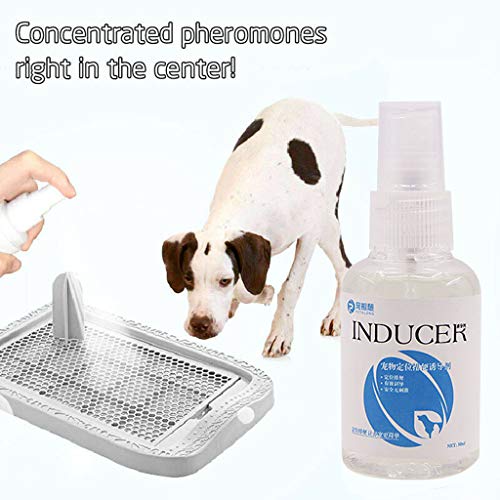 Huangou Training Aid Spray, Dog Potty Trainer, Pet Corrector Spray - Pet New Perfume Inducer Pet Spray Toilet Training Dog Positioning Defecation (White, 50ml) - Thumbnail 2