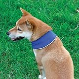 Cool-It Dog Puppy Cooling Bandana - Blue - Small Clothing Clothes Cooling
