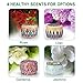 Aromama Scented Candles, Natural Soy Wax Portable Travel Tin Aromatherapy Candle Gift Set, Jasmine, Lotus, Lilac, Gardenia, 4 x 4.2 Oz Pack of 4thumb 1