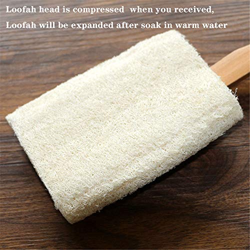 Shower Brush with 100% Natural Loofah, Body Brushes Perfect for Exfoliating, Bath Loofahs Brush with Removable dual-purpose long Handle