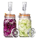JILLMO Fermentation Kit, 1.5 Liter Fermentation Jar