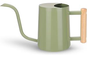 CEWOR Sage Green 35 Oz Metal Watering Can with Long Spout for Indoor & Outdoor Plants