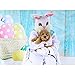7X5FT Easter Wood Wall Photography Backdrops Vinyl Colorful Eggs Photo Studio Background Props Photographic Booth Birthday Party Decorations