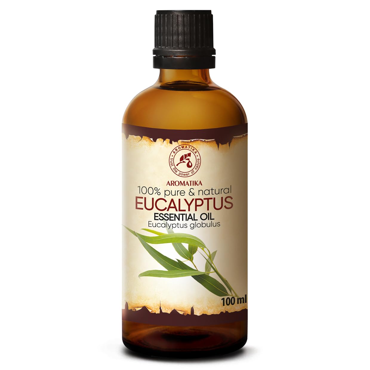 Eucalyptus Essential Oil 100 ml - Eucalyptus Globulus - Fragrance Oil - for Diffuser and Aroma Lamp - Sauna - Aroma Soap - Candle - Aromatherapy - Fresh Scent - Air Freshener