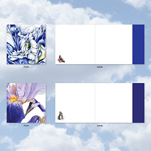 image for The Best Card Company MQ4949OCB-B1x10 Iridescent Iris: 10 Assorted Bla