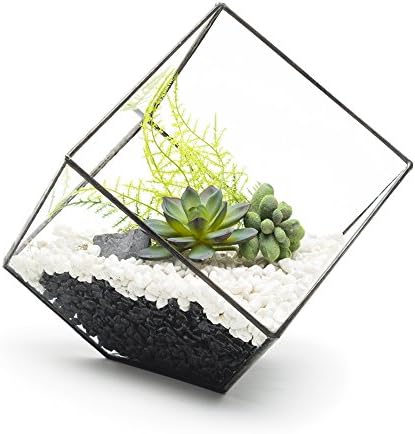 TERRARIUM - AZTEC CUBE WITH FAUX SUCCULENT PLANTS AND OPTIONAL LED LIGHTS Supplied fully assembled L8.5" x H8.5" x W8.5" (Fully assembled with faux plants)