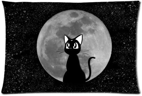 Every New Day Cartoon Beautiful Sailor Moon Cat Luna Unique Custom Zippered Pillow Cases 20x30 inches(50x76cm) (Two sides)