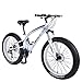 ibiky 26 inch Mountain Bike,Hybrid Fat Tire Snow Bicycle with 21 Speed and Suspension/Dual Disc Brake (White)thumb 1