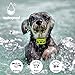 [ 2019 Newest ] Dog Bark Collar,  7 Adjustable Sensitivity and Intensity Levels – Dual Anti-Barking Modes-Rechargeable – Rainproof No Barking Control Dog shock Collar for Small, Medium, Large Dogsthumb 3