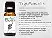 BioFinest Rosemary Oil - 100% Pure Rosemary Essential Oil - Therapeutic Grade - Australia Premium Quality - Best For Aromatherapy, Aches & Pains, Hair & Dandruff - FREE E-Book (10ml)
