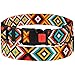 CollarDirect Aztec Dog Collar Adjustable Nylon Tribal Pattern Geometric Pet Collars for Dogs Small Medium Large Puppy (Aztec Sunset, Neck Fit 12″-16″)thumb 2