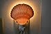 Yellow Mexican Cup Sea Shell Night Light Bathroom Kitchen