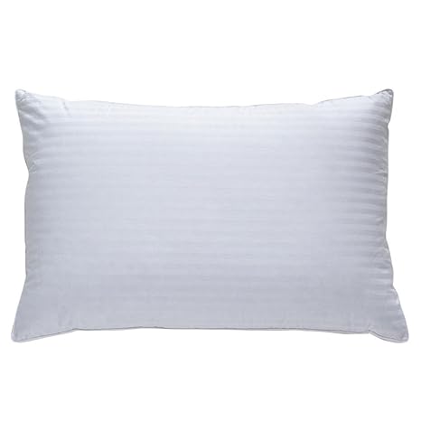 Classic Brands Plush Down Pillow Best Pillow For Back Side And