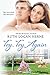 Try, Try Again: A Beautiful Christian Love Story, Love Renewed