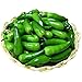 Gresorth 60pcs Artificial Mini Pepper Chili Fake Vegetable Home Kitchen Party Christmas Food Toy Decoration