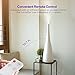 VAVA Humidifier with Remote Control, Two Type nozzles, Ultrasonic Floor Humidifiers for Home Bedroom, Adjustable Mist, Timer, Sleeping Mode and Low Water Protection - 3L/0.79 Gallon, US 110V(VA-AH012)