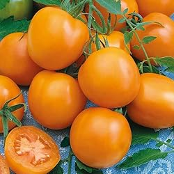 Eden Brothers Tomato Seeds - Druzba Non-GMO Seeds