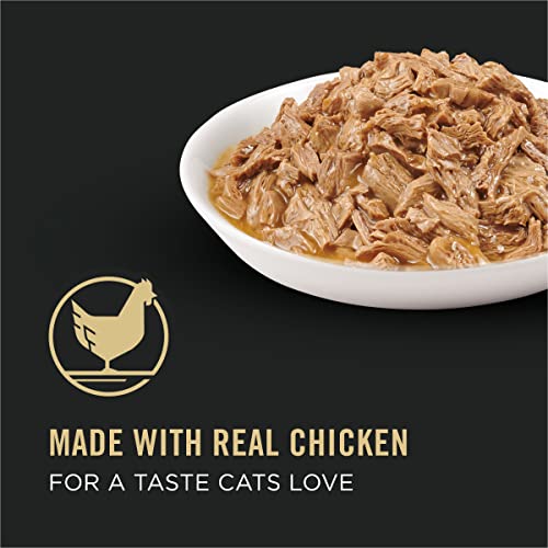 Purina Pro Plan High Protein Gravy Wet Cat Food, SPECIALIZED Healthy Metabolism Formula Chicken