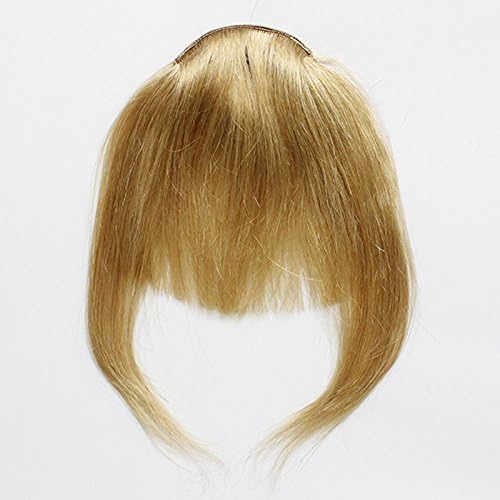 Fashion Clip in Front Hair Bang Fringe Human Hair Extensions 40g (24 Golden Blonde)