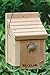 Woodlink Cedar Wren Birdhouse