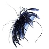 Women Lady Fascinator with Headband Wedding Party Accessory
