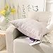 Home Brilliant Decorative Pillowcases Throw Pillow Covers Soft Striped Velvet Chenille Plush Cushion Cover for Square Pillow (2Packs, 18 x 18 inch, 45cm), Light Pink