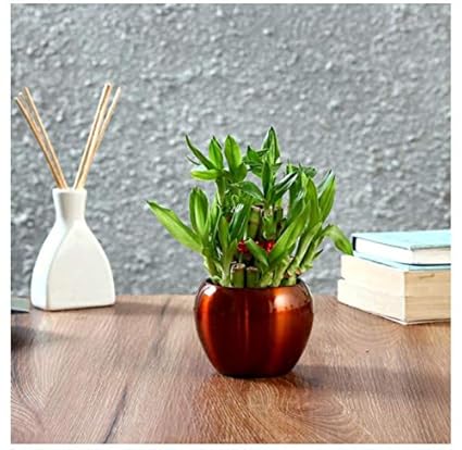 Siddhi Vinayak Gallery Metal Planter Pot for Home Decoration | Round Shape Metal Pots for Indoor Plant Living Room Bedroom, Tabletop, Office Desk Decoration ( Multicolour Pack of 5 Metal Pot)